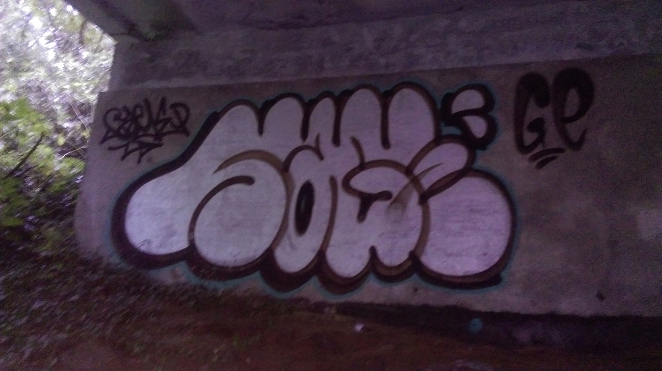 Graffiti Bombing - Photo by SaGEC