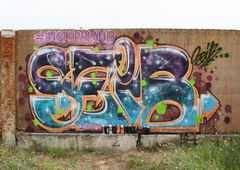 Photo #159398 by Homs