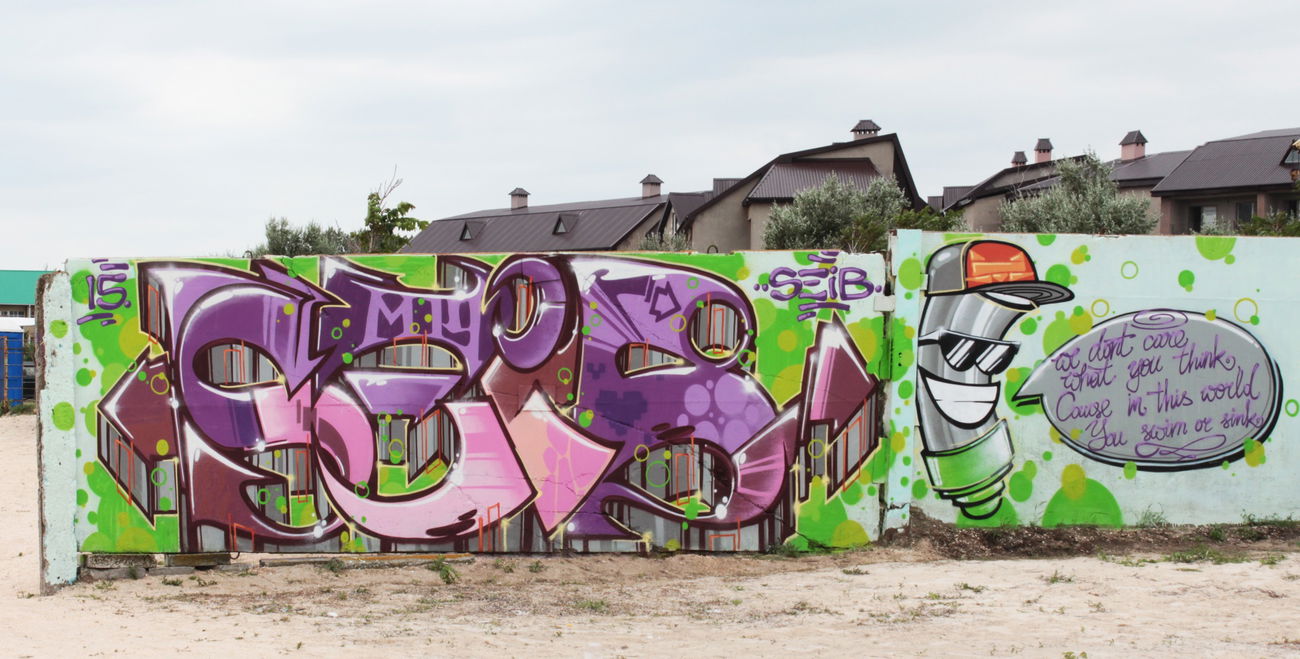 Graffiti Wall in Украина - Photo by Sabe91 - seib91, m19, mxix (2015)