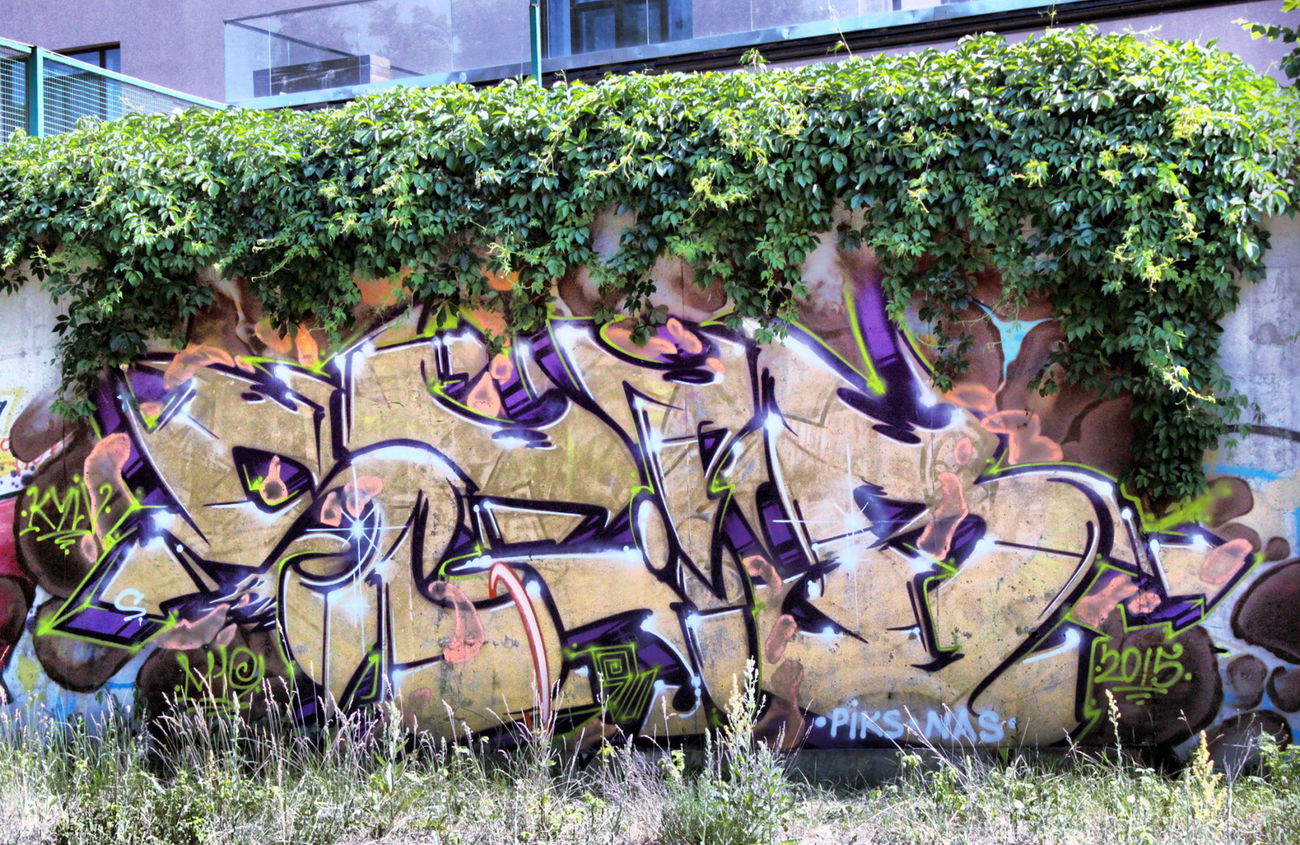 Graffiti Wall - Photo by Sabe91 - seib91, m19, mxix (2015)