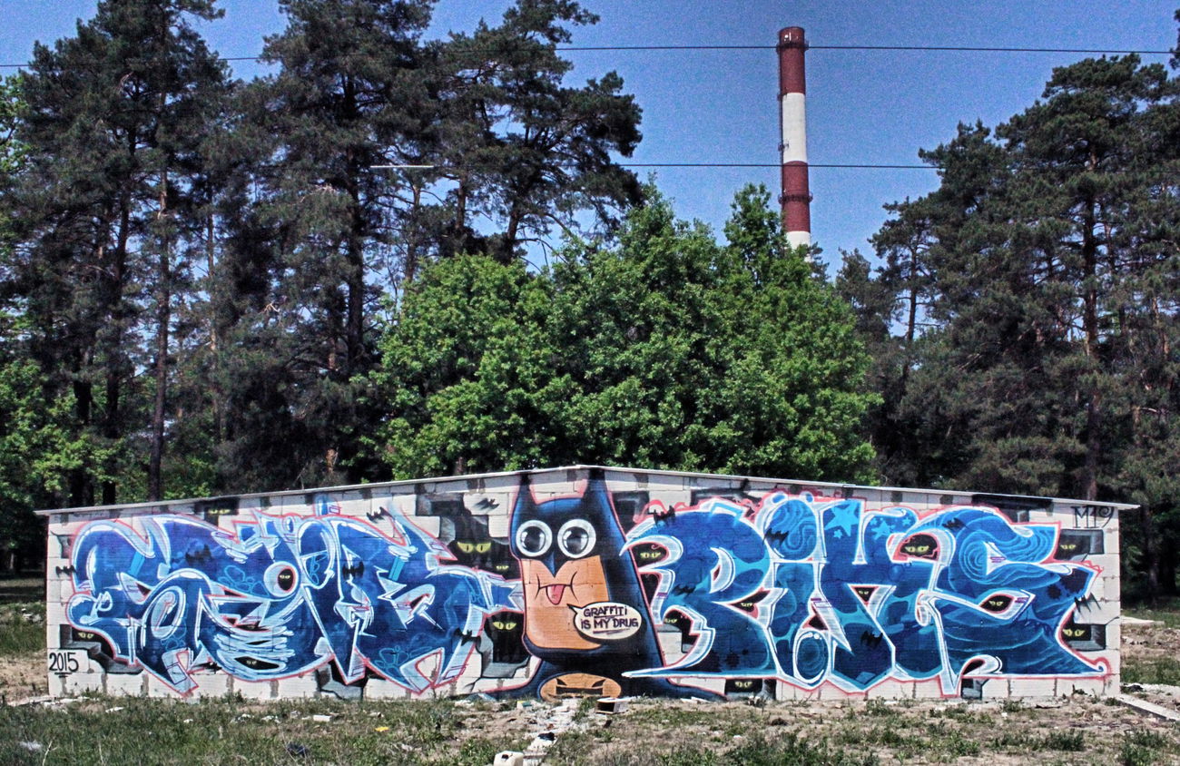 Graffiti Wall - Photo by Sabe91 - seib, piks, m19 (2015)