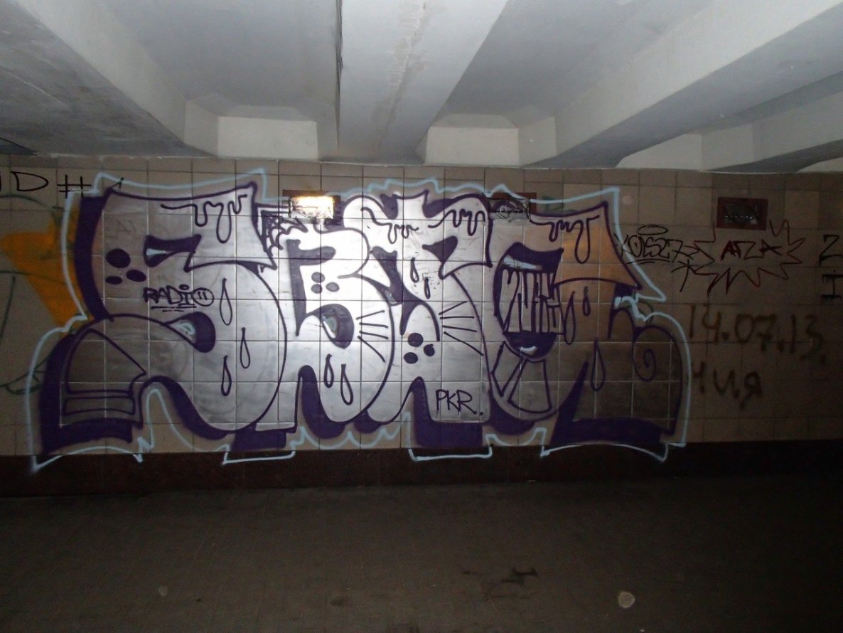 Graffiti Bombing - Photo by Sabotage (2014)