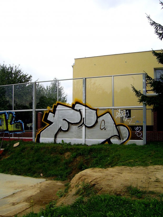 Graffiti Bombing - Photo by SaenOne
