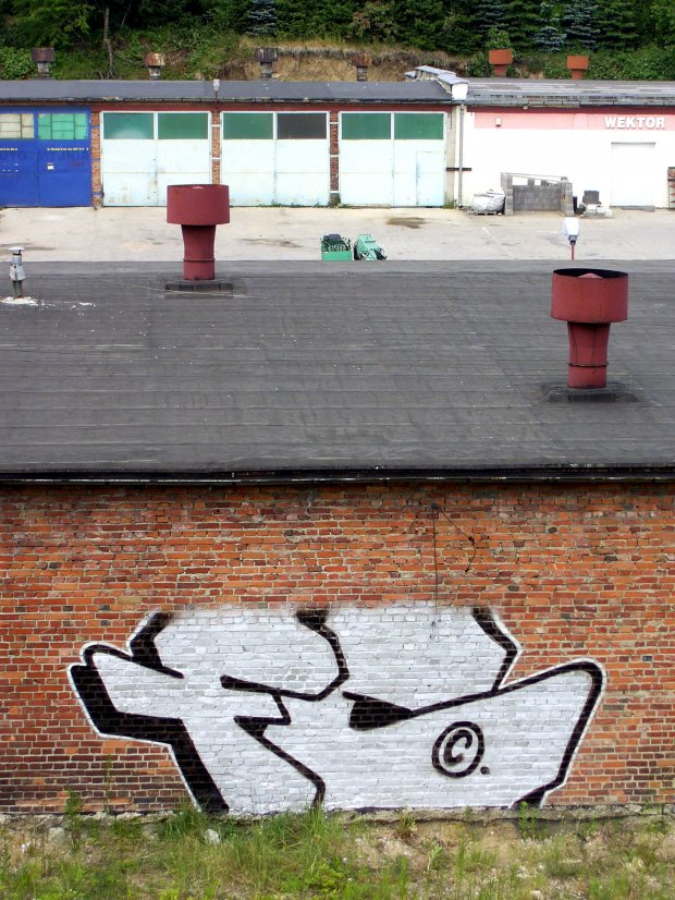 Graffiti Bombing - Photo by SaenOne