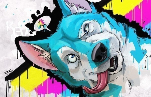 Graffiti Wall - Photo by Saft