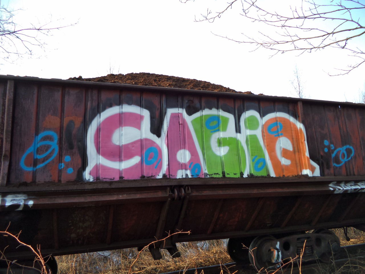 Graffiti Bombing - Photo by Sagiq (2015)