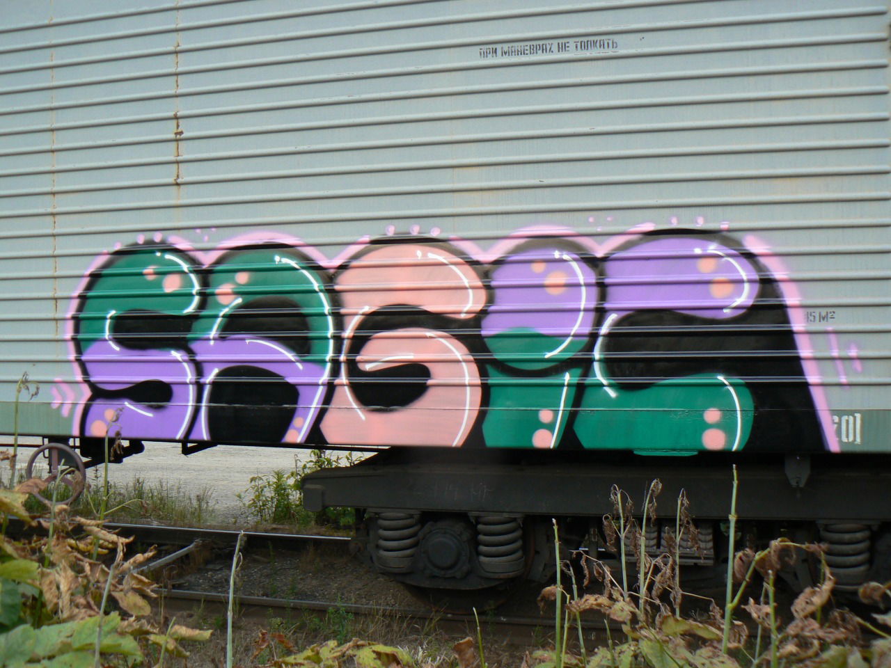 Graffiti Bombing - Photo by Sagiq (2013)