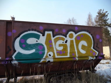 Graffiti Bombing - Photo by Sagiq (2015)