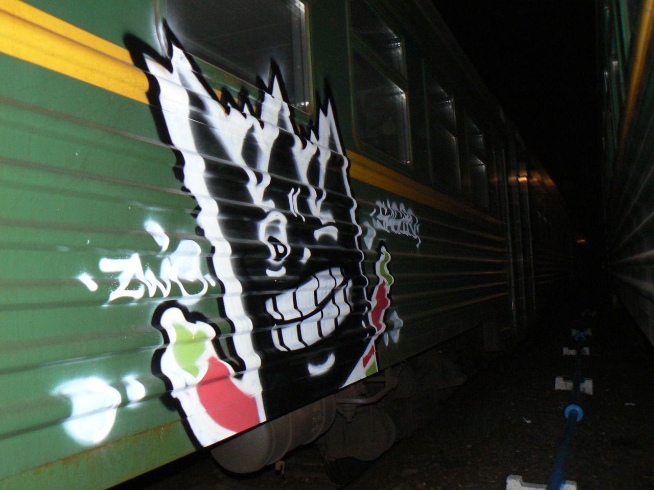 Graffiti Train - Photo by Sagiq (2010)