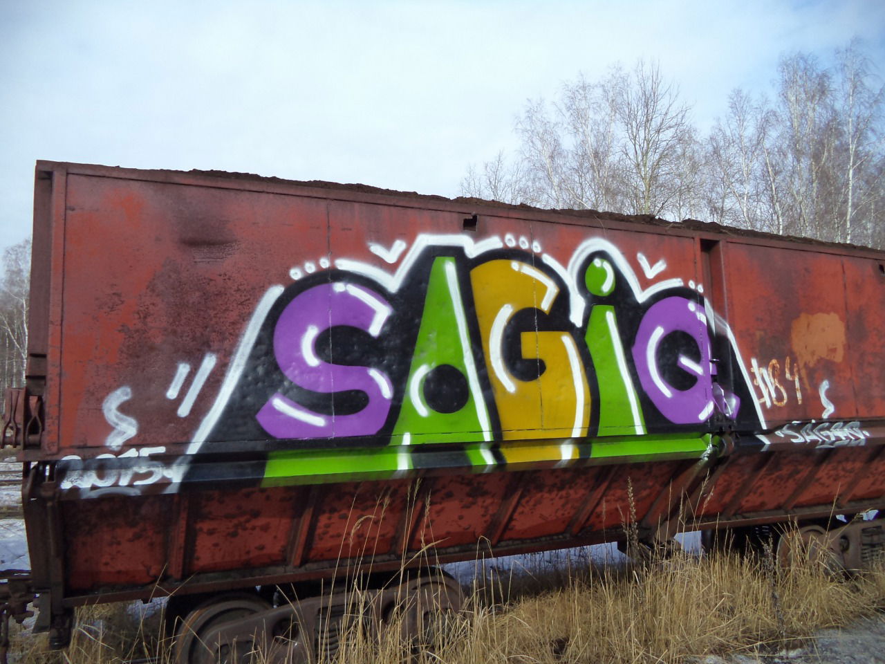 Graffiti Bombing - Photo by Sagiq (2015)