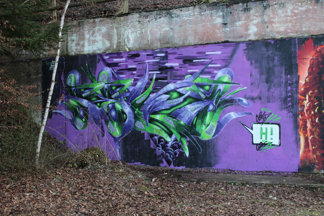 Graffiti Wall in Schweiz - Photo by Sake - Sekah, Seka, 3D (2017)