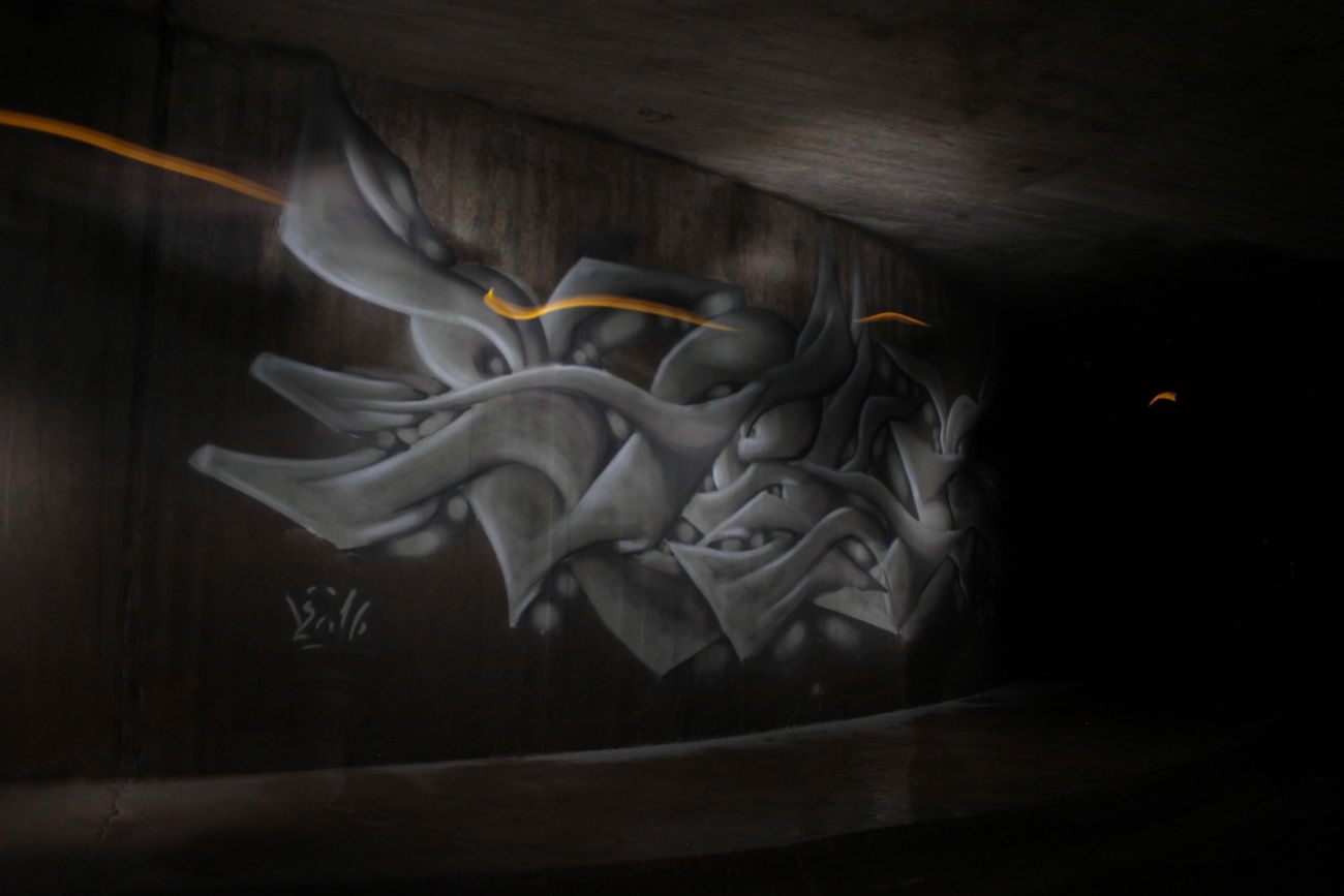 Graffiti Wall - Photo by Sake - Seka, Sekah (2016)