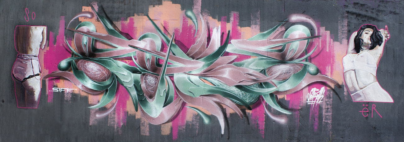 Graffiti Wall in Schweiz - Photo by Sake - Sekah, Schaffhausen, Siff (2017)