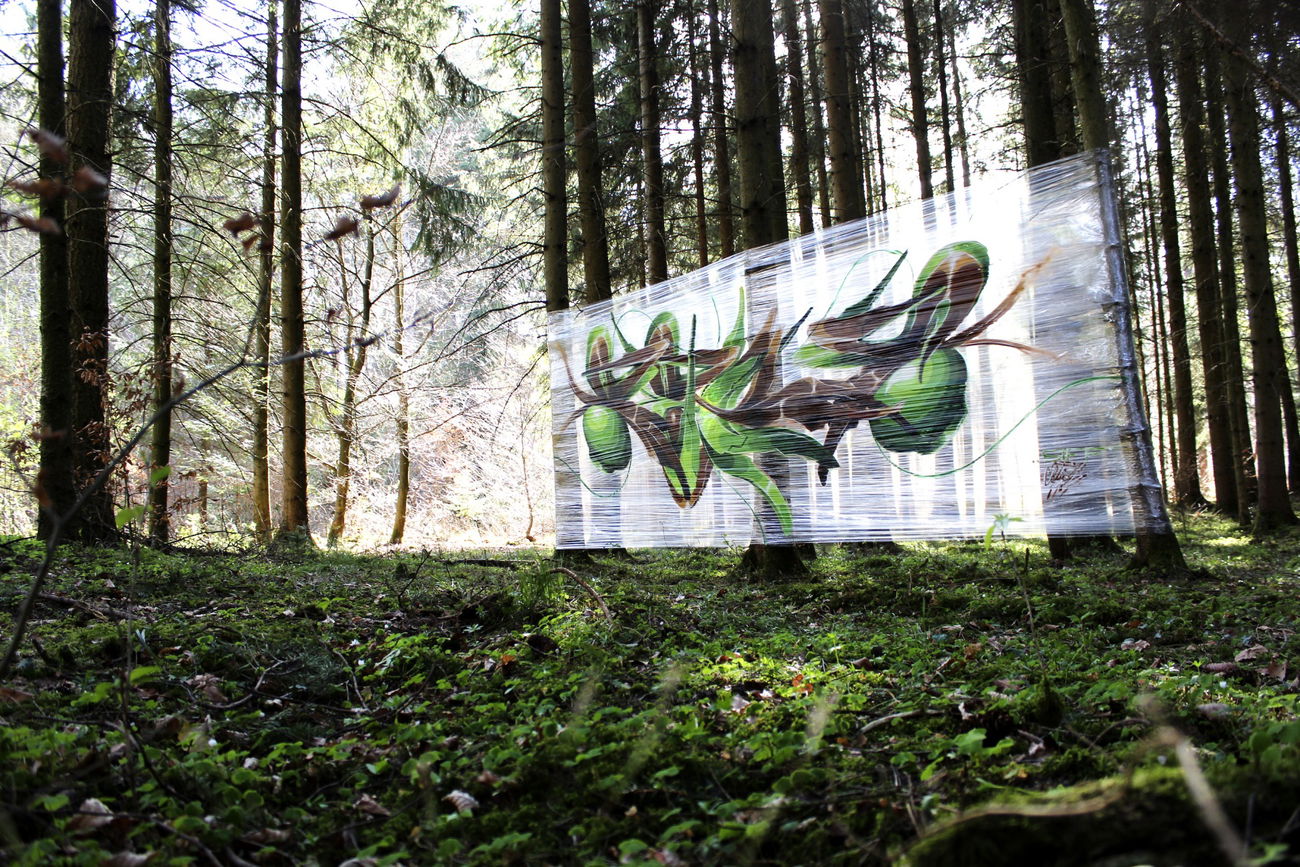 Graffiti Wall in Schweiz - Photo by Sake - Cello, Sekah (2017)