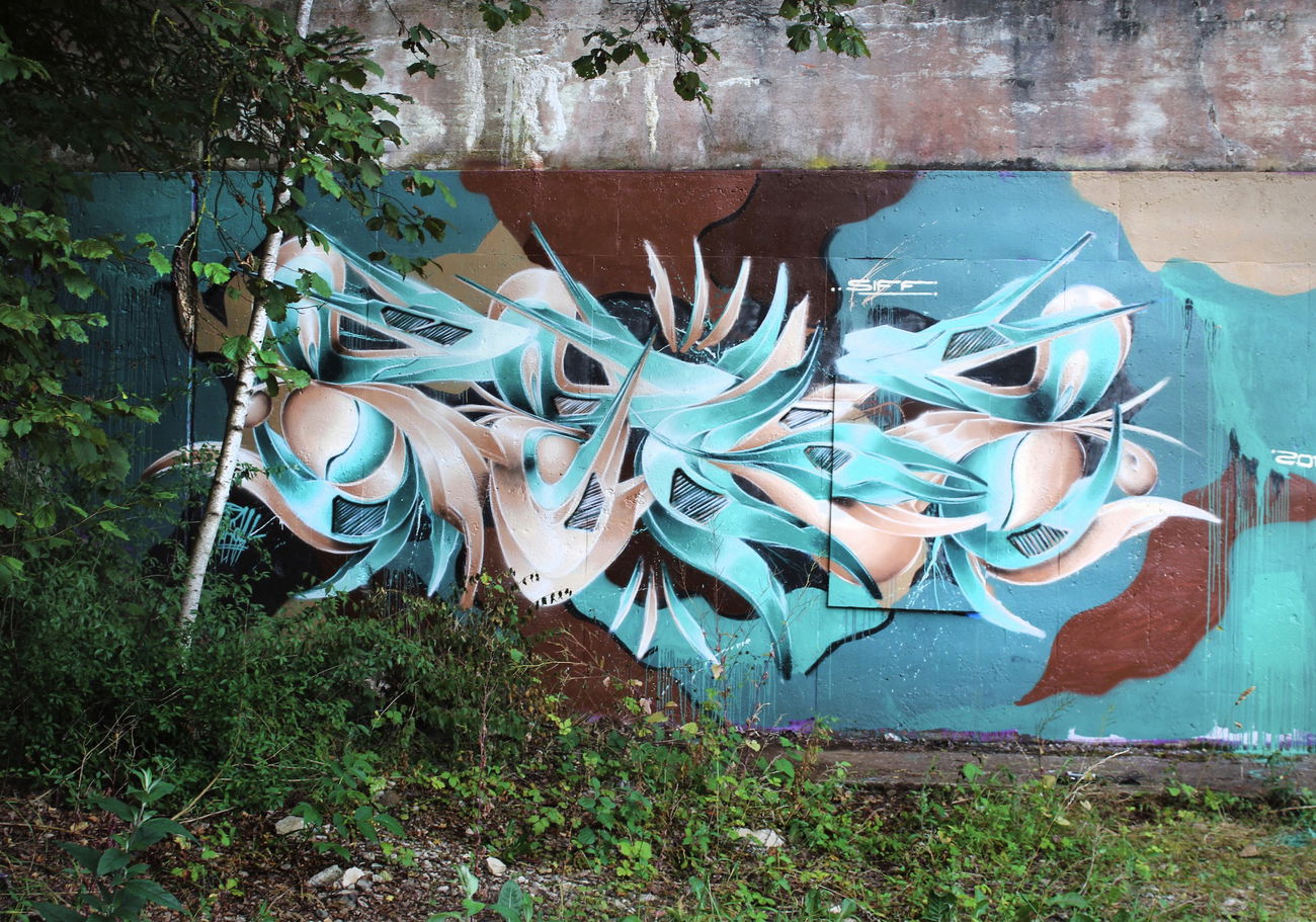 Graffiti Wall in Schweiz - Photo by Sake - Sekah, Schaffhausen, Siff (2017)