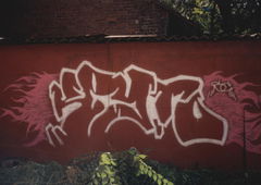 Photo #236909 by y1E3s2