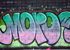 Photo #78544 by TagHagel