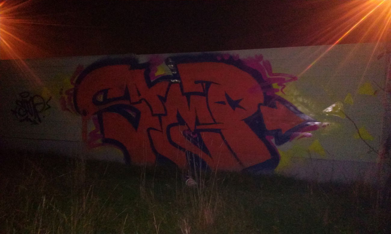 Graffiti Bombing - Photo by Sampler