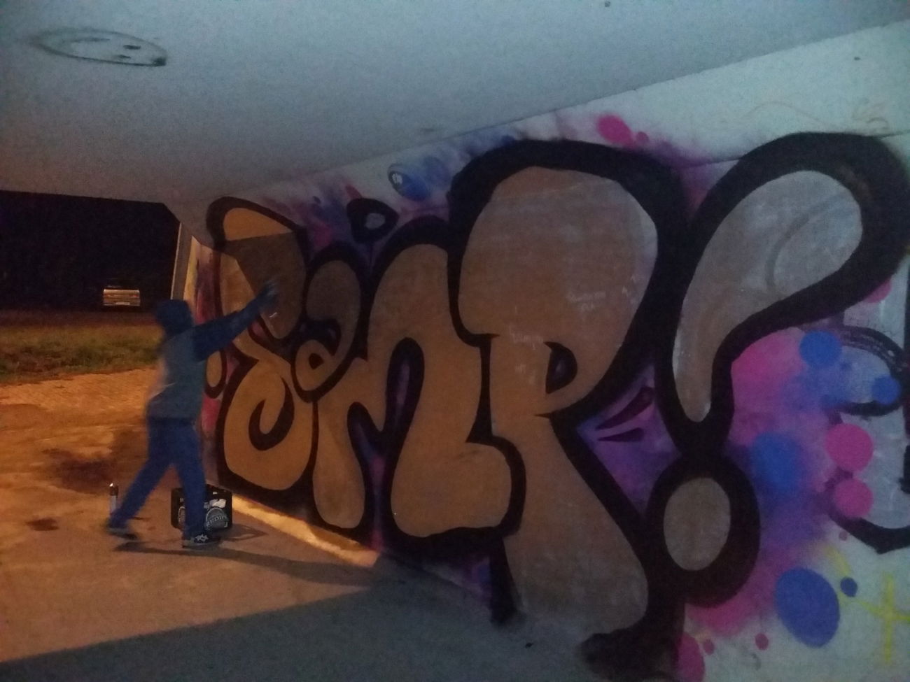 Graffiti Bombing - Photo by Sampler