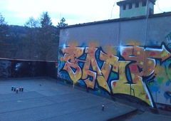 Photo #184998 by zwolli