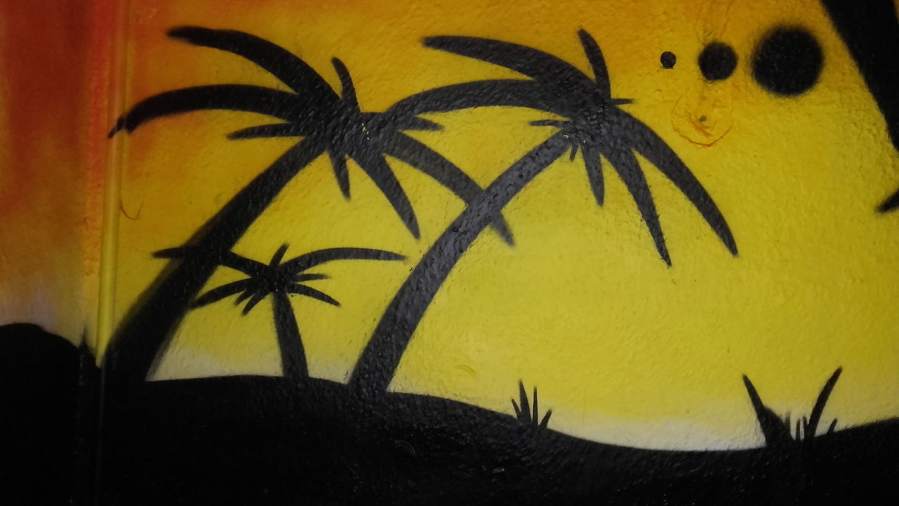 Graffiti Wall - Photo by Sampler