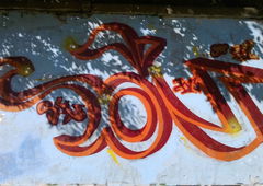 Photo #14690 by Belt