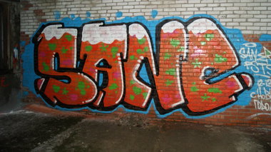 Graffiti Bombing - Photo by Saner (2012)