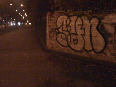 Graffiti Bombing - Photo by Saner (2012)