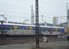 Photo #204405 by TagHagel