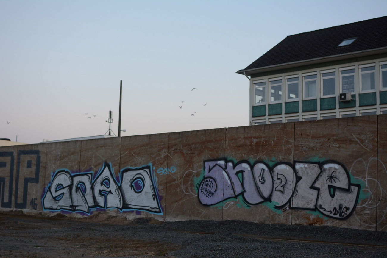 Graffiti Bombing - Photo by Santos