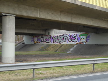 Graffiti Bombing - Photo by Santos