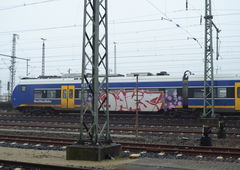 Photo #204406 by TagHagel