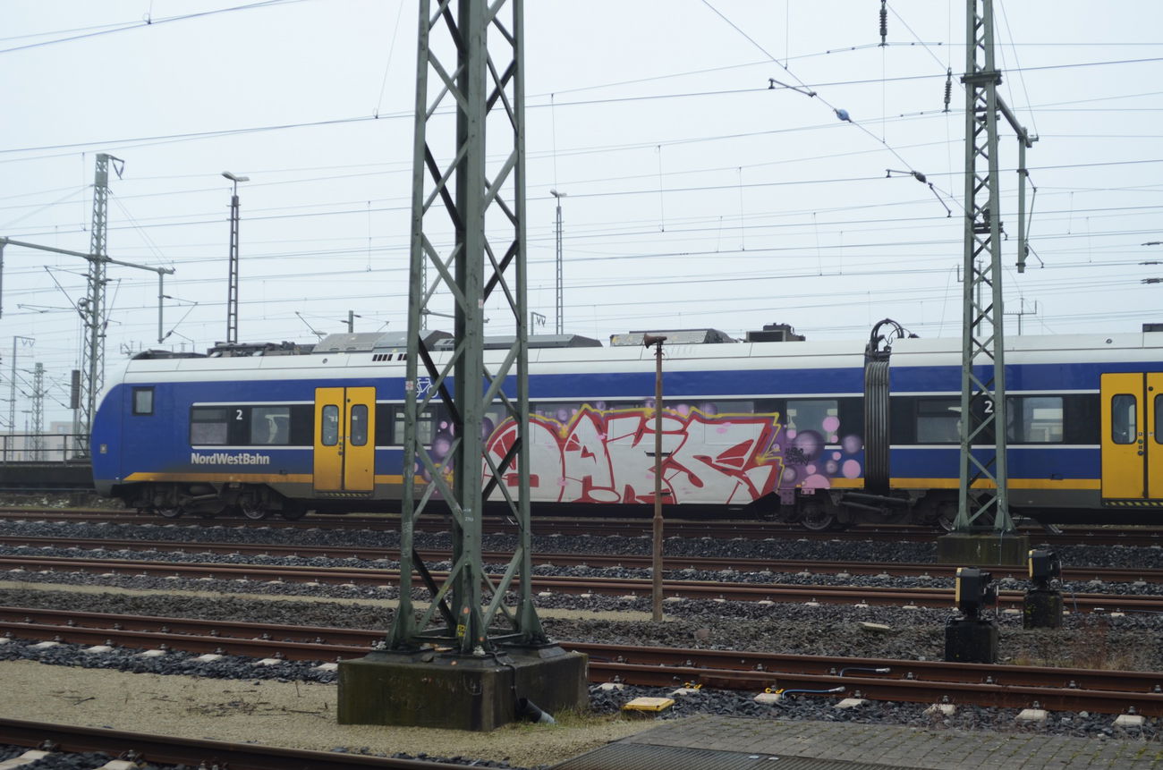 Graffiti Train - Photo by Santos