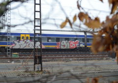 Photo #204404 by TagHagel