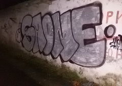 Photo #179344 by Mustard42