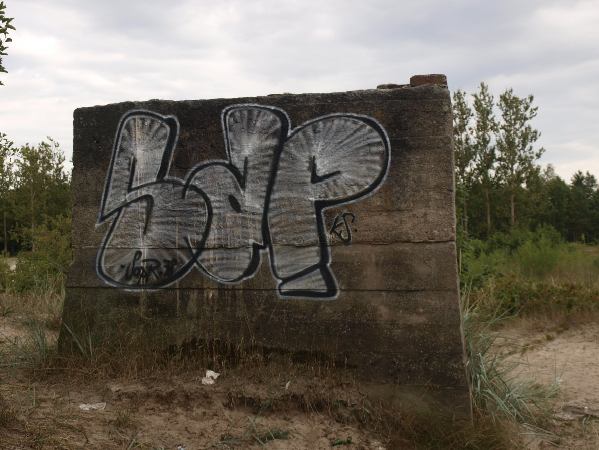 Graffiti Bombing - Photo by SapR