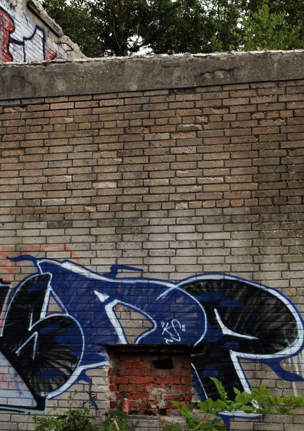 Graffiti Bombing - Photo by SapR