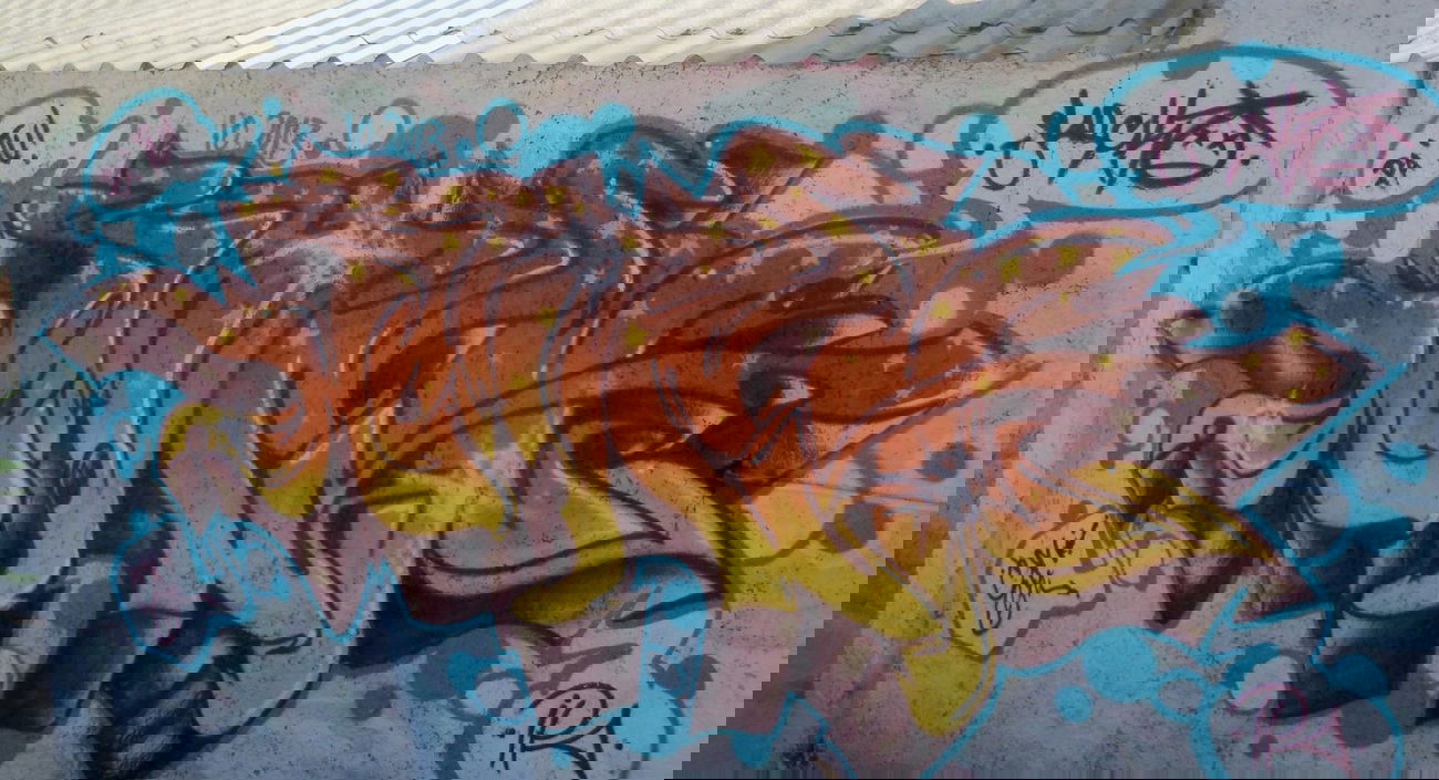 Graffiti Wall - Photo by SarckoMck - SarckoMck, ipa, crew (2013)