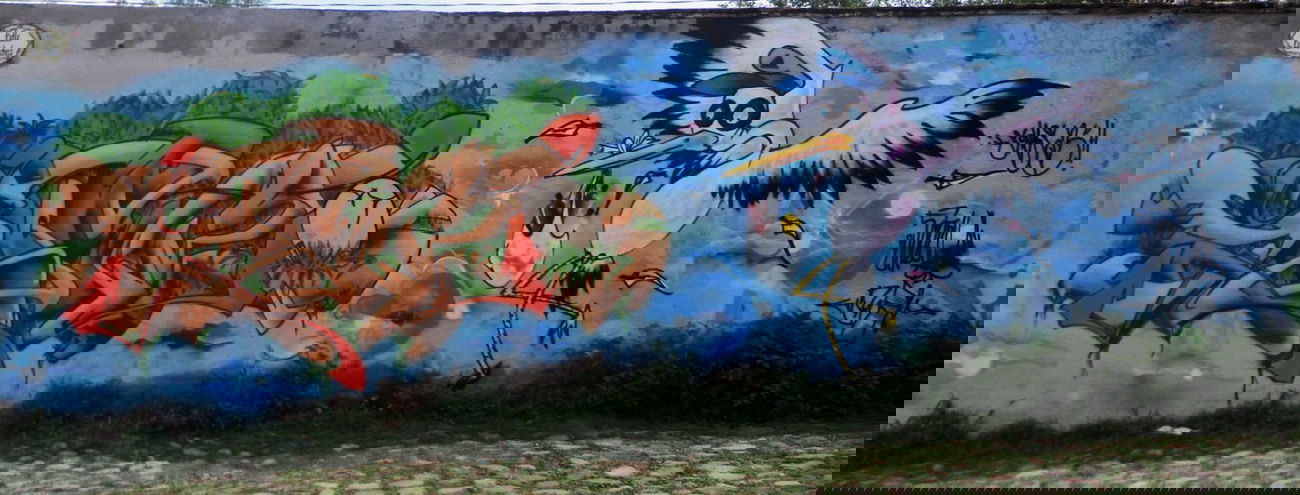 Graffiti Wall - Photo by SarckoMck - sarckomck., ipa, es (2014)