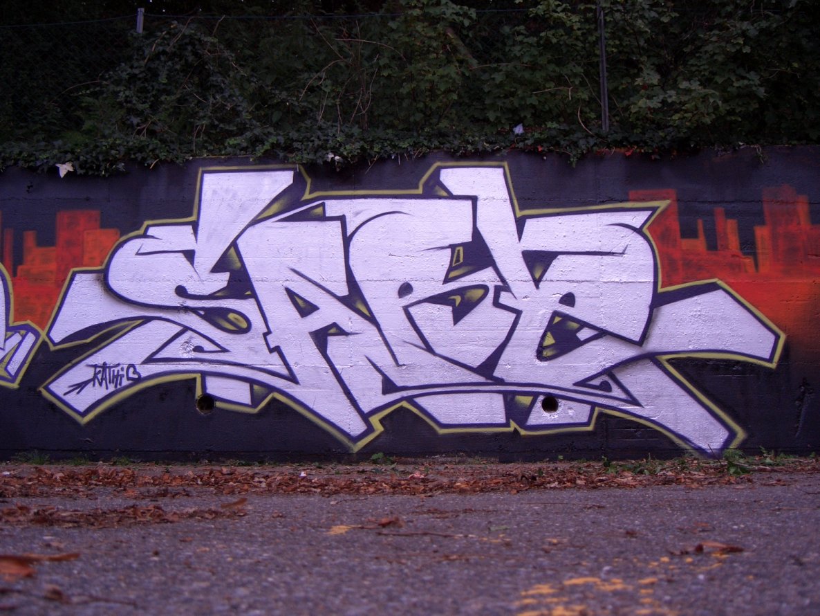 Graffiti Wall - Photo by SareOne_DmbMcr - sare (2010)