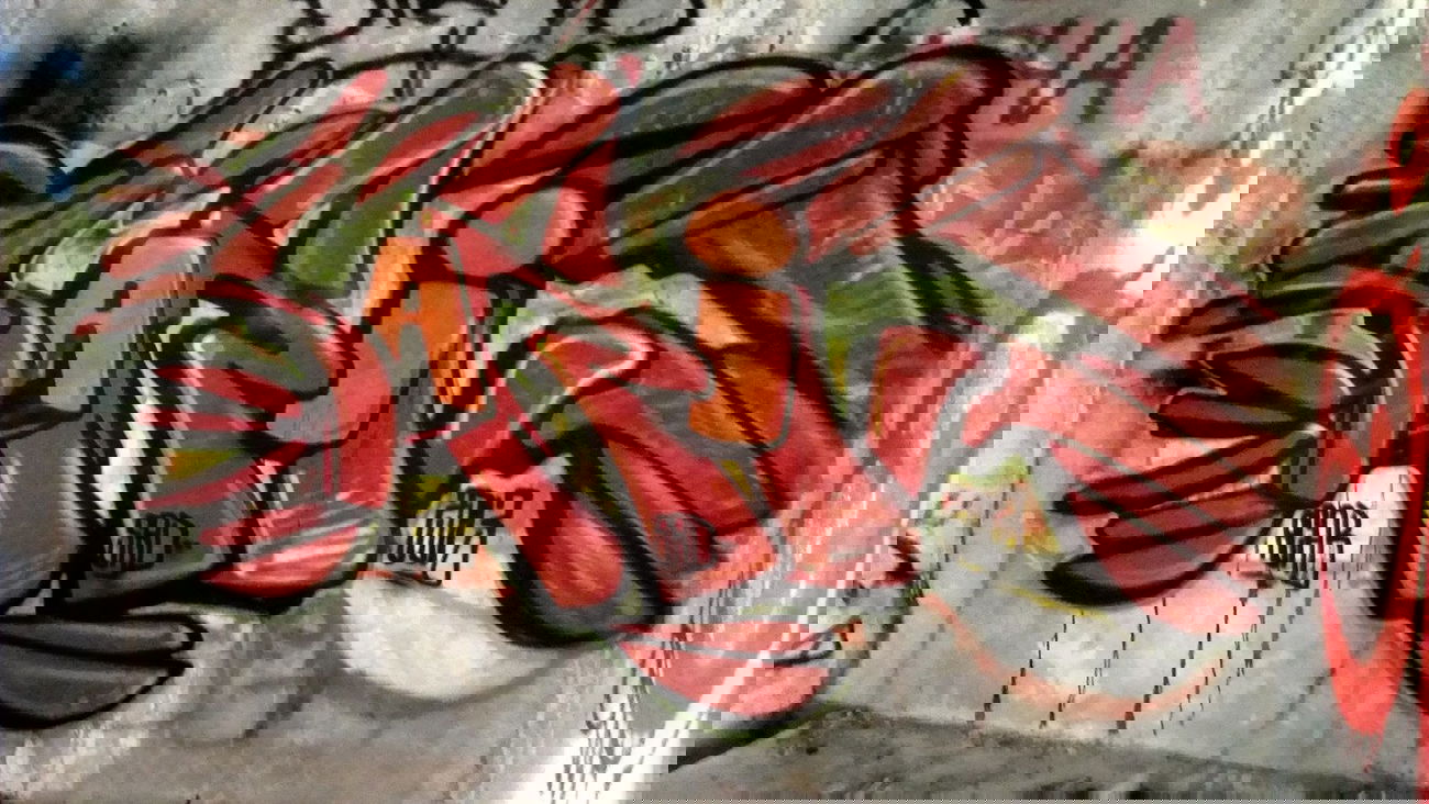 Graffiti Wall - Photo by Sarid_One - Sarid, One (2013)