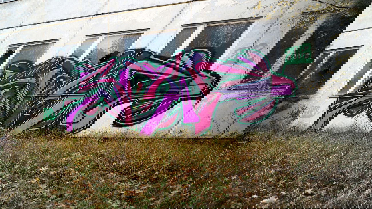 Graffiti Bombing - Photo by Sarid_One - SARID, ONE (2013)