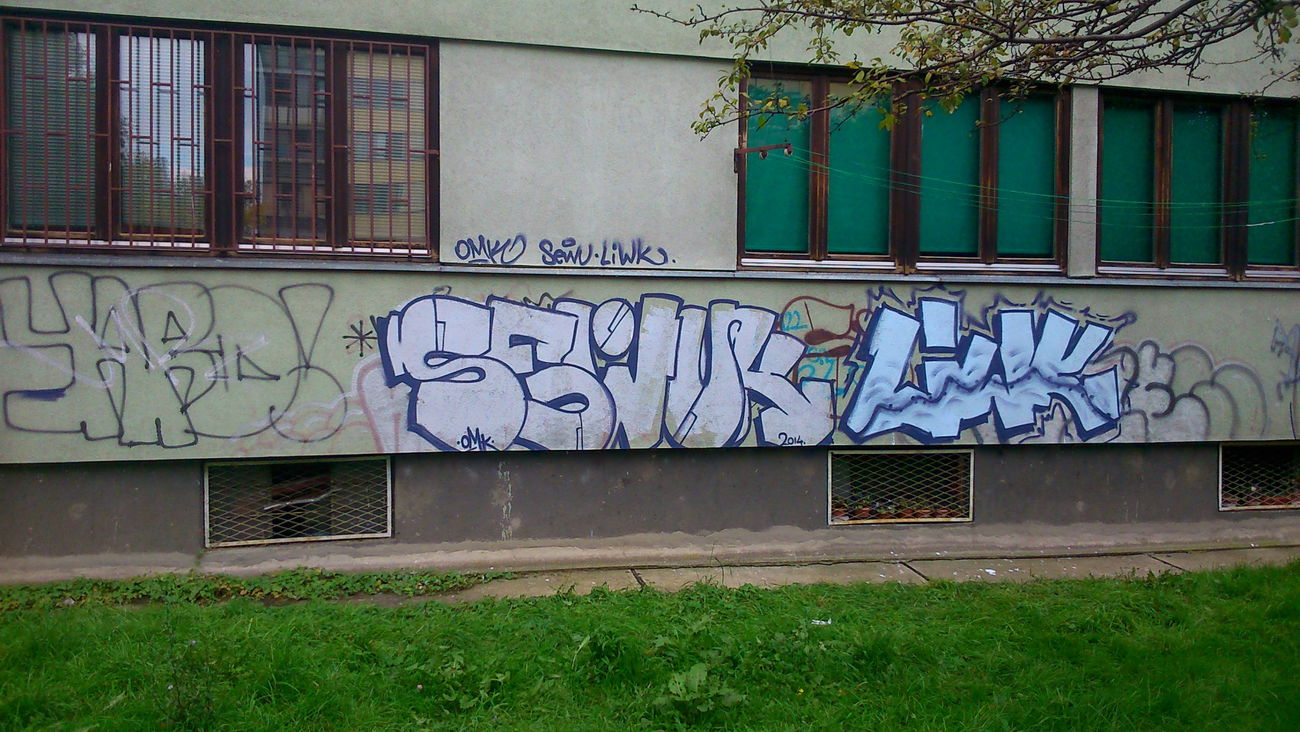 Graffiti Bombing - Photo by Sarma