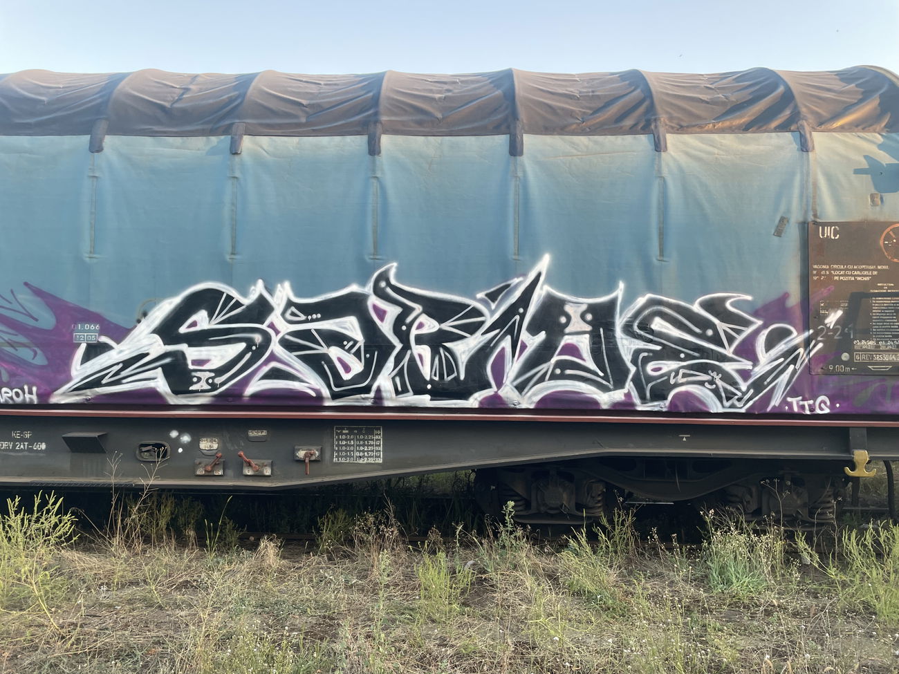 Graffiti Train - Photo by Saroh - freight (2025)