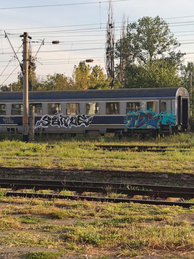 Graffiti Train in Romania - Photo by Saroh - panel (2025)