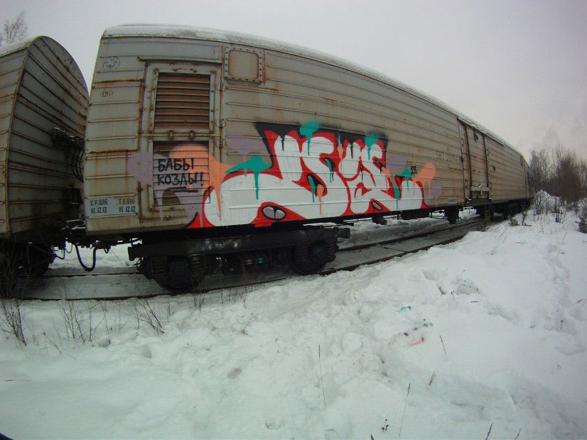 Graffiti Train in SAINT.P. - Photo by Sasha - DZ(DZUDO) (2013)