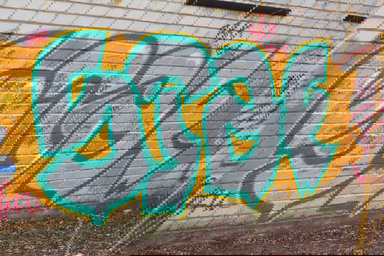 Graffiti Bombing - Photo by Sashastaf111 - staf, 2014 (2014)