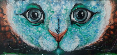 Graffiti Wall - Photo by Satir460S (2016)