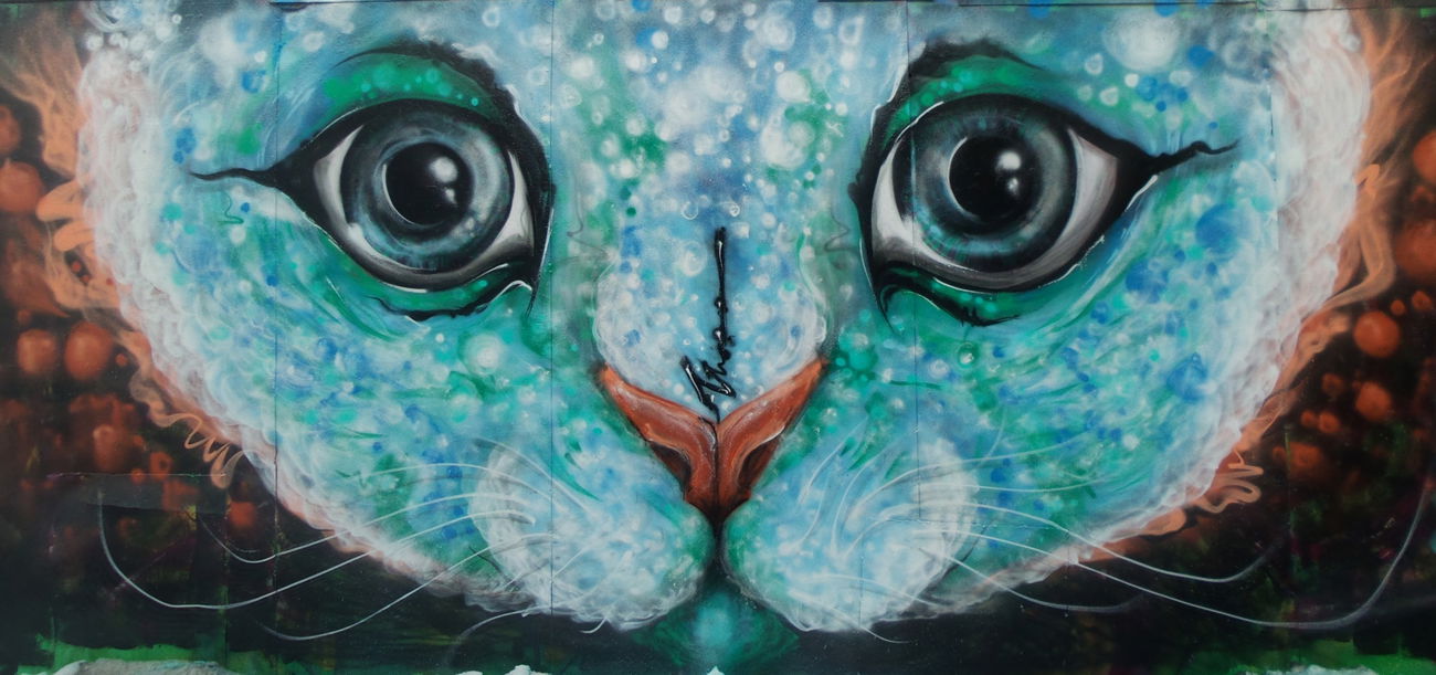 Graffiti Wall - Photo by Satir460S (2016)