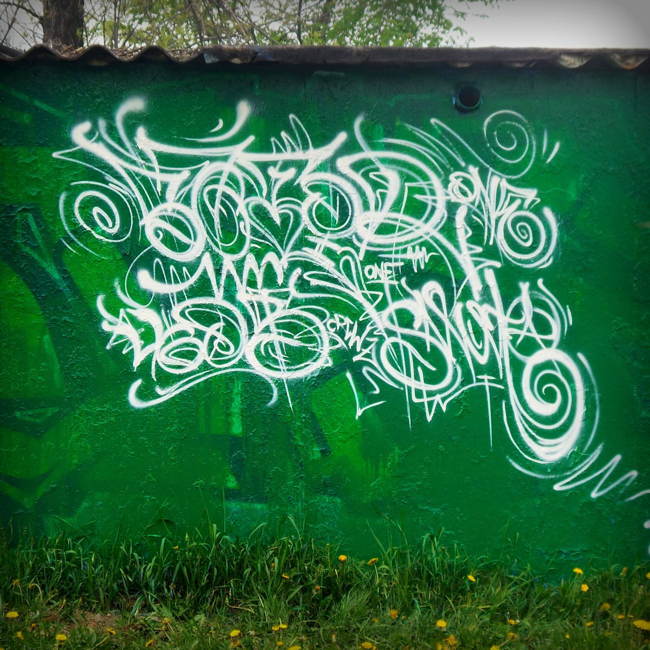 Graffiti Wall - Photo by Satir460S